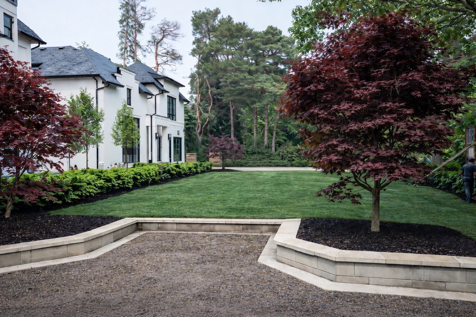 Curved stone walls with Japanese maples